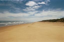 Ninety Mile Beach