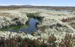 El Calafate Airfield