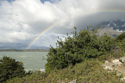 Regenbogen am Morgen