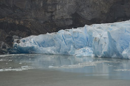 Grey Gletscher