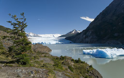 Grey Gletscher