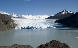 Grey Gletscher