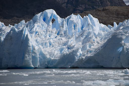 Grey Gletscher