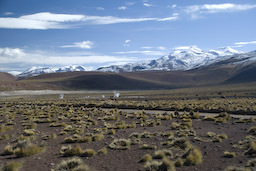 Tatio Geysirfeld
