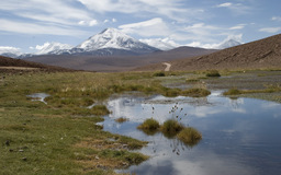 Altiplano
