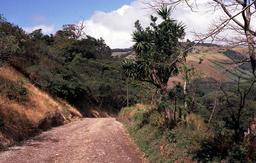 Strae nach Monteverde