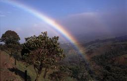 Regenbogen