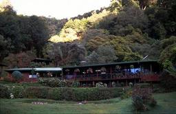 Trogon Lodge