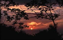 Sunset