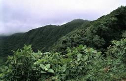 Monteverde