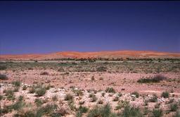 Namib Wste