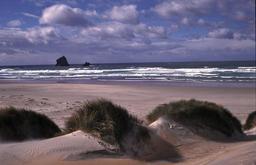 Sandfly Bay