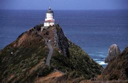 Leuchtturm am
 Nugget Point