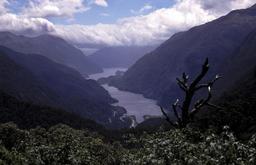 Doubtful Sound