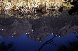 Mirror
 Lakes