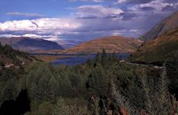 Lake Hawea