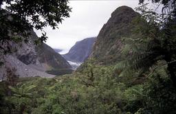 Viewpoint auf den Fox Glacier