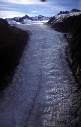 Fox Glacier