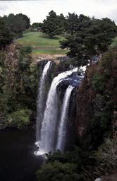 Whangarei Falls