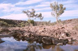 Kalbarri N.P. - Ross Graham Lookout