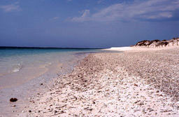 Tourquise Bay - Drift Snorkeling