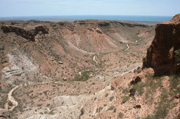 Charles Knife Road - Canyon