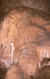 Calgardup Cave