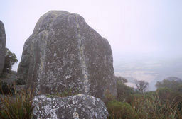 Porongurup N.P.