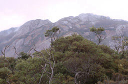 Porongurup N.P.