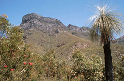 Stirling Range N.P. - Bluff Knoll