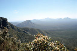 Stirling Range N.P. - Bluff Knoll