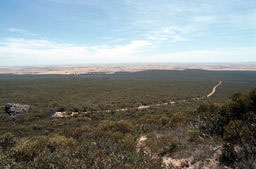 Stirling Range N.P. - Mt. Trio