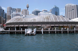 Sydney Wildlife Center
