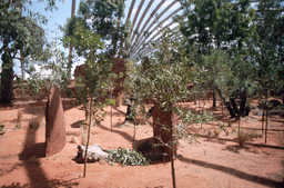 Sydney Wildlife Center