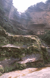 Blue Mountains -