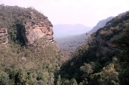 Blue Mountains -
