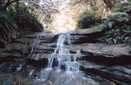 Blue Mountains - Leura Cascade