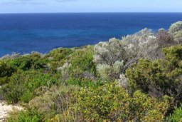 Cape Naturaliste