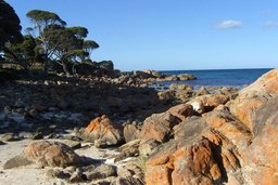 Cape Naturaliste